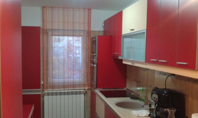 Elena Udrea a postat pe Facebook imagini cu noul ei apartament din Roman (GALERIE FOTO)