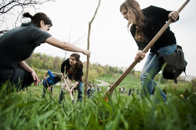 400 de copaci plantați în satul Poroschia în cadrul Săptămânii Globale de Voluntariat a Hilton Worldwide