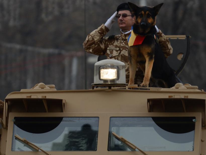 (GALERIE FOTO) 1 decembrie, Ziua Nationala a României 18436486