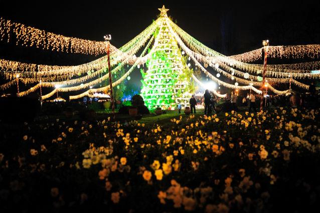 La ora 19:00 s-au aprins luminile de Crăciun în București. Urmărește evenimentul LIVE pe WEBCAM Jurnalul