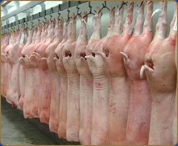 Carnea de porc, MAI SCUMPĂ cu 25% faţă de anul trecut. Cât va scădea consumul de Crăciun