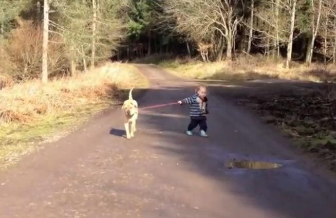 VIDEO: Peste un milion de persoane s-au uitat cum un copil plimbă un câine