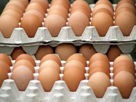 Ouăle s-au scumpit cu 8%