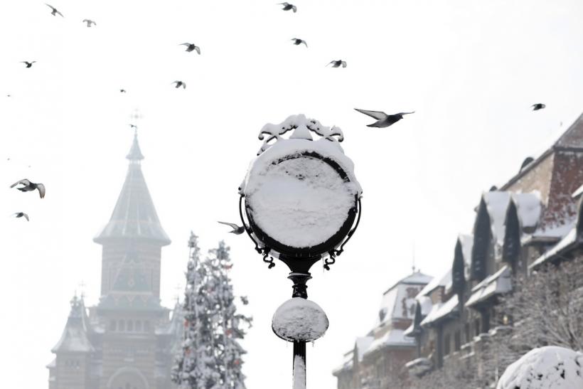 România sub nămeţi. Galerie foto 18437873