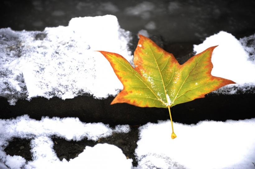 România sub nămeţi. Galerie foto 18437874