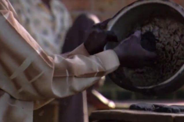 Hamburgerul din ţânţari! O reţetă tradiţională africană face furori pe reţetele de socializare
