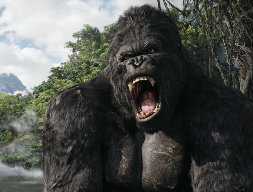 King Kong a lasat Vocea Romaniei fara glas