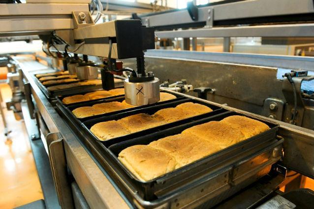 Ponta vrea proiect pilot pentru reducerea TVA la pâine