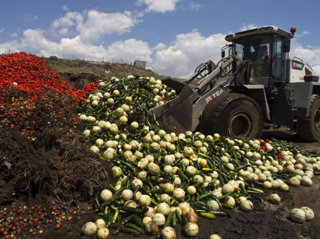 Miliardele de tone de alimente aruncate ar putea hrăni un continent