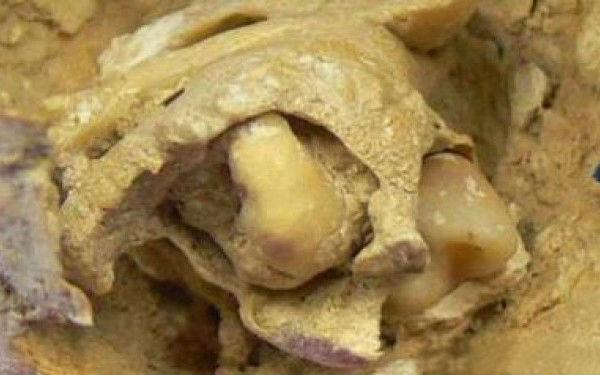 REVELAŢIE în lumea ştiinţei. Ce au găsit arheologii într-un mormânt vechi de 1.600 de ani. &quot;Este un caz unic, extraordinar!&quot;