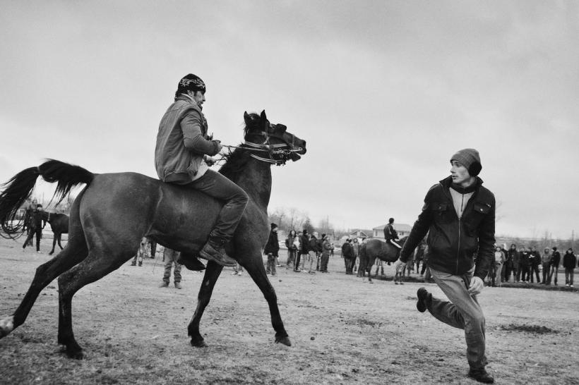 Fotografie de Jurnal. BOTEZUL CAILOR 18443003