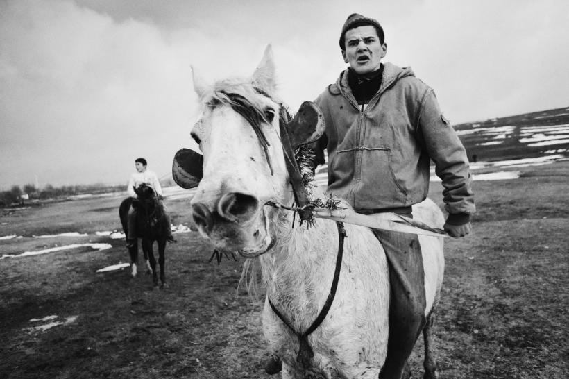 Fotografie de Jurnal. BOTEZUL CAILOR 18443004