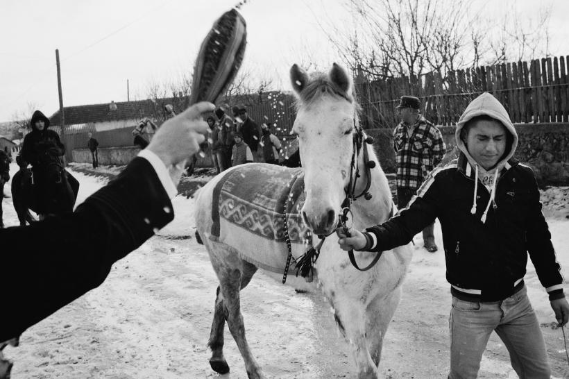 Fotografie de Jurnal. BOTEZUL CAILOR 18443005