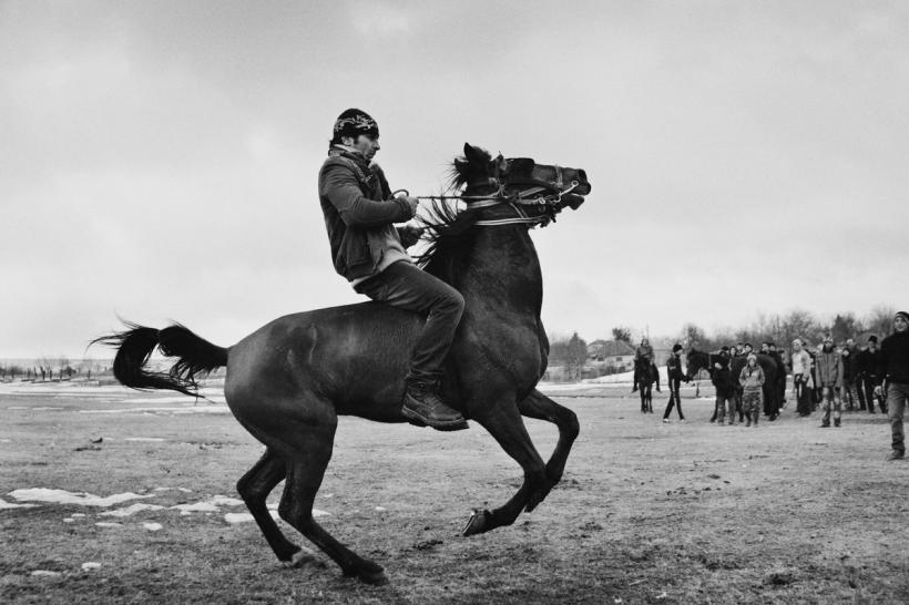 Fotografie de Jurnal. BOTEZUL CAILOR 18443006