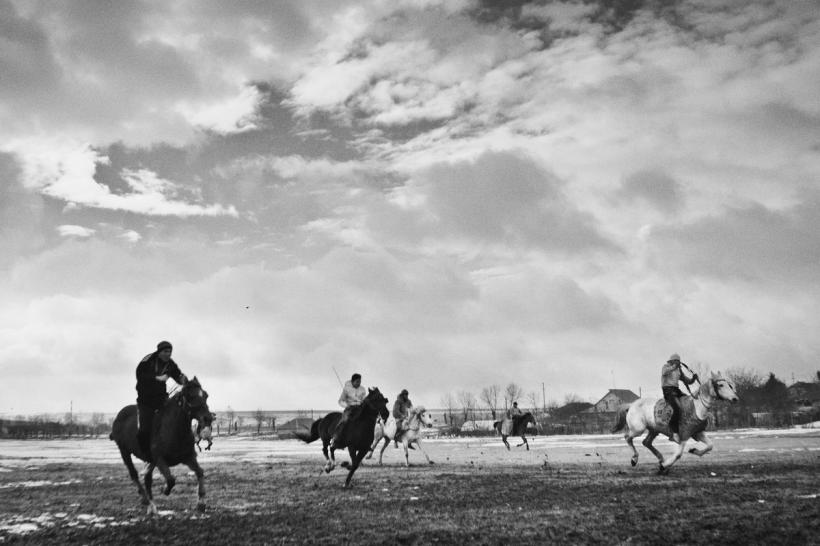 Fotografie de Jurnal. BOTEZUL CAILOR 18443007