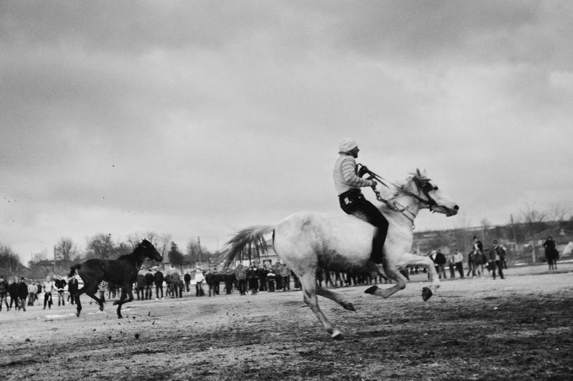 Fotografie de Jurnal. BOTEZUL CAILOR 18443008