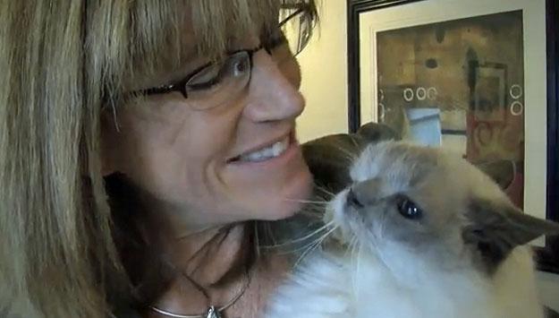 CIUDAŢENIE în lumea animalelor. O pisică trăieşte de 13 ani cu DOUĂ CAPETE (VIDEO)