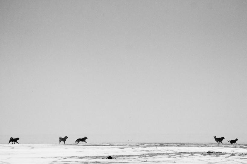 FOTOGRAFIE DE JURNAL. Litoralul Mării Negre pe timp de iarnă 18443992