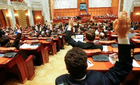 Democrat-liberalii vor contesta Statutul parlamentarilor la Curtea Constituţională