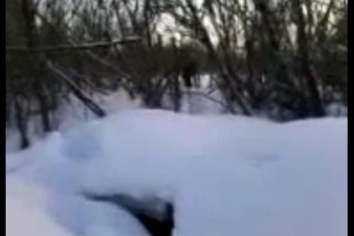 Un puştan rus l-a întâlnit pe Yeti în Siberia. Crezi că este adevărat? (VIDEO)