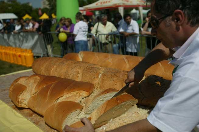 Reducerea TVA la pâine s-ar putea aplica din luna iunie