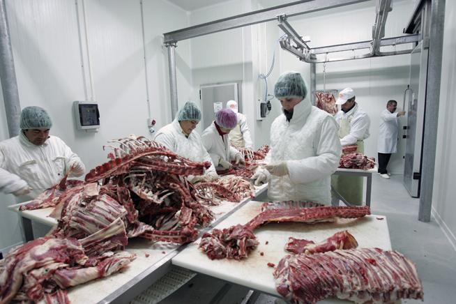 Zeci de kilograme de carne cal cu etichetă de carne de vită, descoperite la un comerciant din Capitală