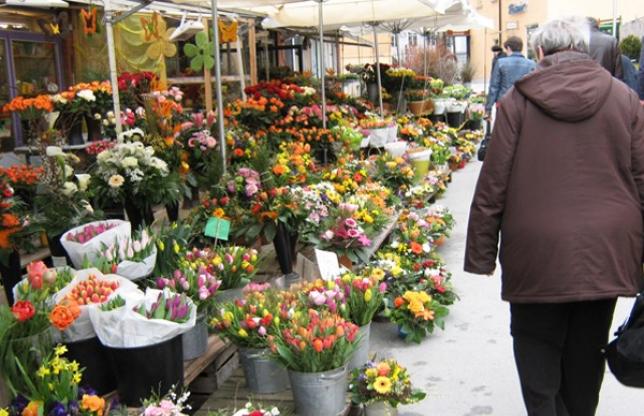 Controale la comercianţii de flori din Capitală. Vânzătorii, suspectaţi de evaziune fiscală