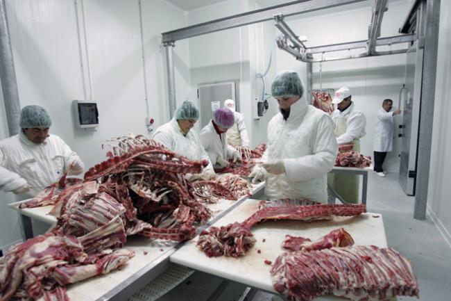 Urme de carne de cal descoperite în carnea de vită, în trei depozite din Polonia