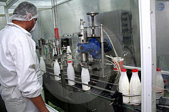 Suspiciuni de lapte contaminat cu aflatoxină la trei ferme şi două fabrici. 80 de tone de lapte, puse sub sechestru