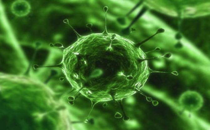 Coronavirusul, noua pandemie care va lovi omenirea? Citeşte AVERTISMENTUL Organizaţiei Mondiale a Sănătăţii
