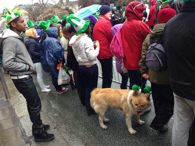 Sărbătoarea verde a Irlandei: Saint Patrick's Day în Dublin 18448065