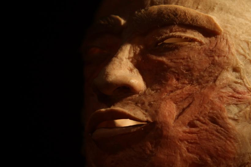 GALERIE FOTO. Expoziţia "The Human Body" 18448618