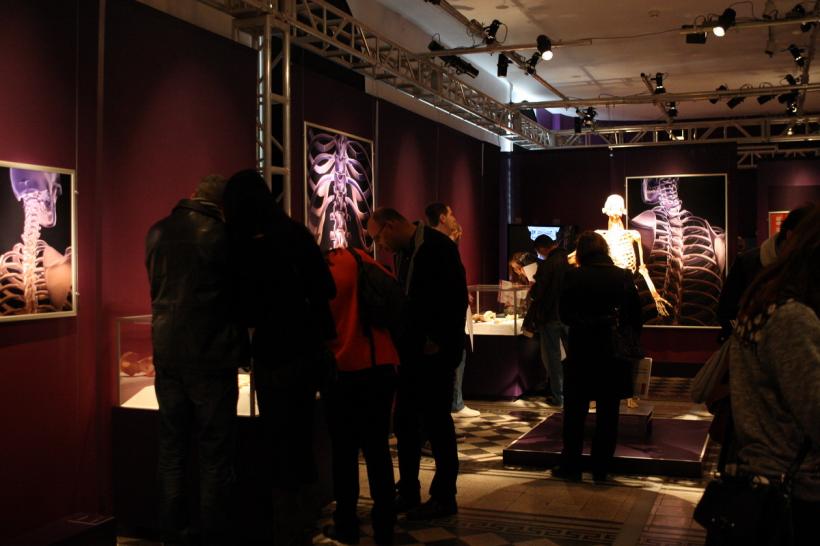 GALERIE FOTO. Expoziţia "The Human Body" 18448619