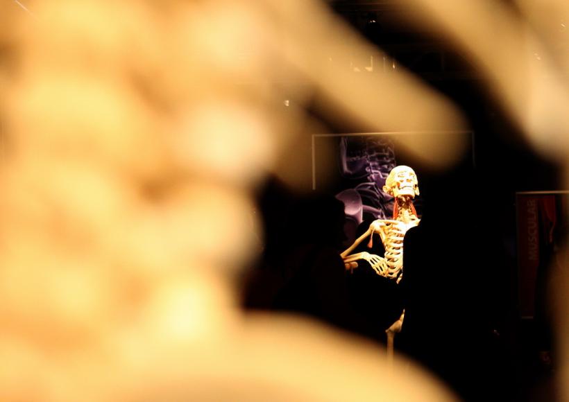 GALERIE FOTO. Expoziţia "The Human Body" 18448620