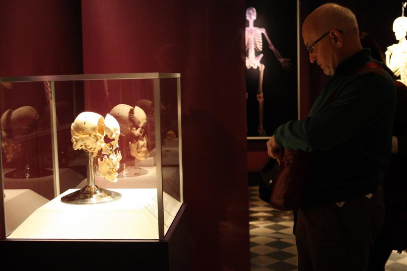 GALERIE FOTO. Expoziţia "The Human Body" 18448624