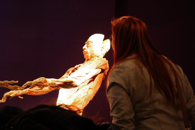 GALERIE FOTO. Expoziţia "The Human Body" 18448627