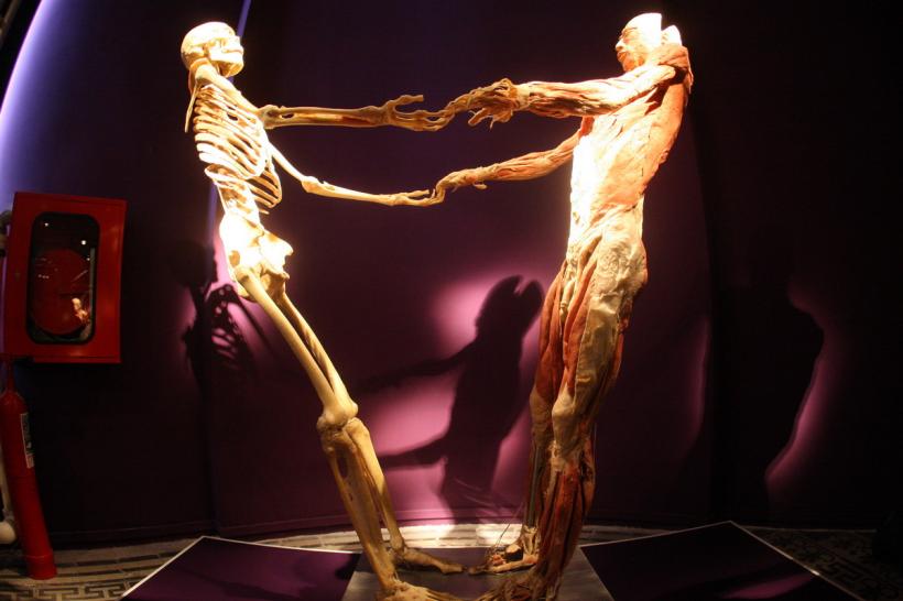 GALERIE FOTO. Expoziţia "The Human Body" 18448630