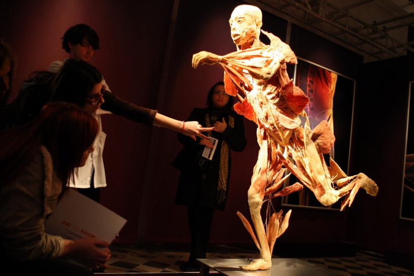 GALERIE FOTO. Expoziţia "The Human Body" 18448631