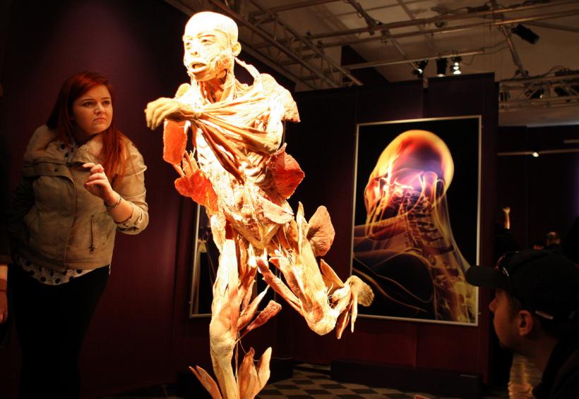 GALERIE FOTO. Expoziţia "The Human Body" 18448632