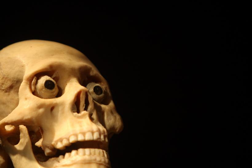 GALERIE FOTO. Expoziţia "The Human Body" 18448635