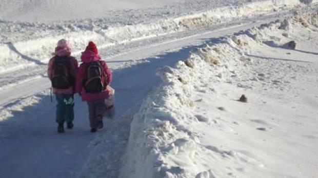 Aproximativ 80 de unităţi de învăţământ din judeţul Buzău sunt închise din cauza ninsorilor abundente şi a viscolului