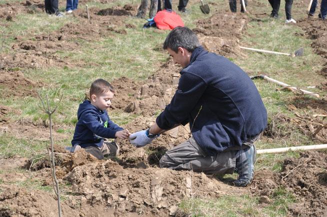6000 de copăcei, plantaţi de voluntari în comuna Vâlcele din Covasna