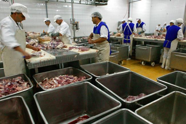 România: Numai în 3 teste din 100 s-a depistat carne de cal în produse etichetate drept vită
