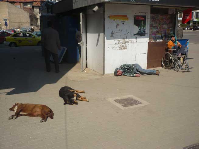 Căzut pe datorie. România profundă bea pe datorie şi apoi se odihneşte în stradă laolaltă cu câinii