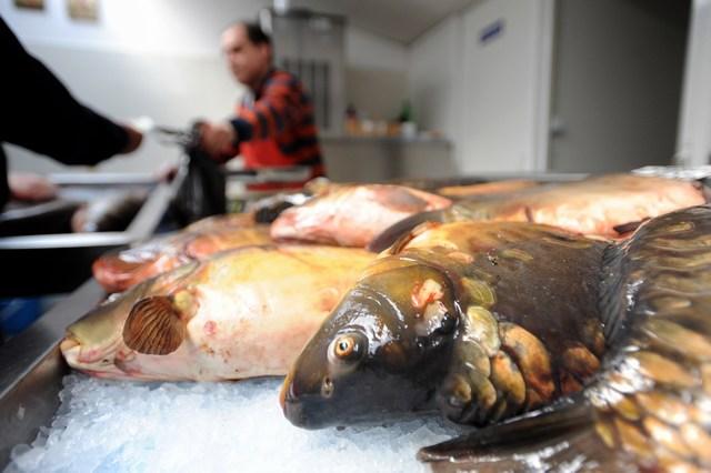 Razie în pieţele din Capitală şi din alte 11 judeţe: Poliţiştii au confiscat peste 7 tone de peşte