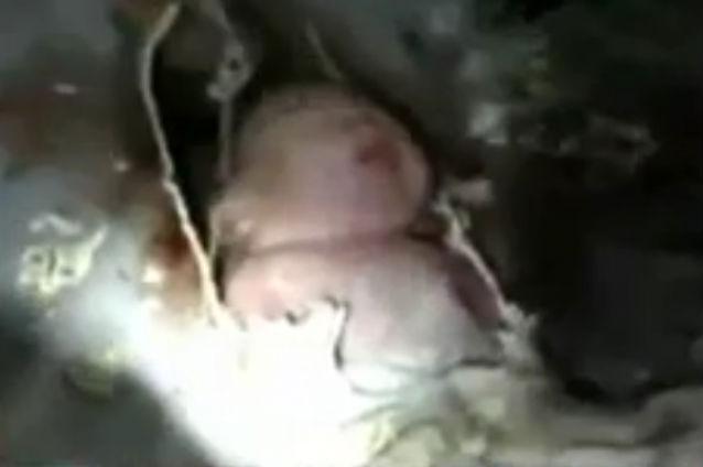 (VIDEO) Bebeluş nou-născut, extras dintr-o conductă după ce fusese aruncat în toaletă pe părinţi