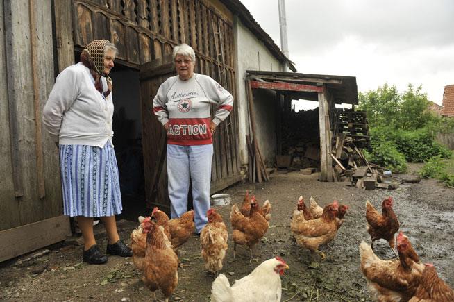 Mama FNI, Ioana Maria Vlas: “Acum sunt un ţăran obişnuit din Nou Român” 18455115