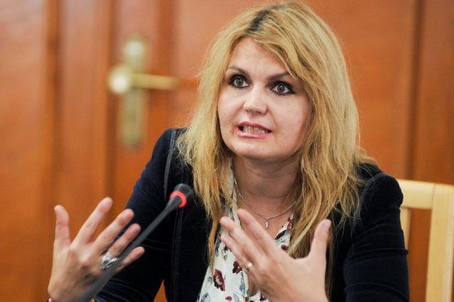 Guvernul a aprobat lista candidaţilor pentru funcţia de judecător din partea României la CEDO