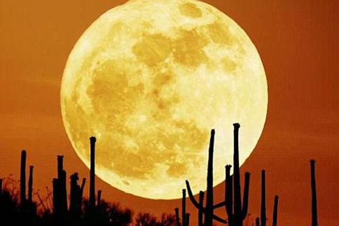 Spectacol ceresc pe 23 iunie. Luna se va afla la cea mai mică distanţă faţă de Terra în ultimele 14 luni