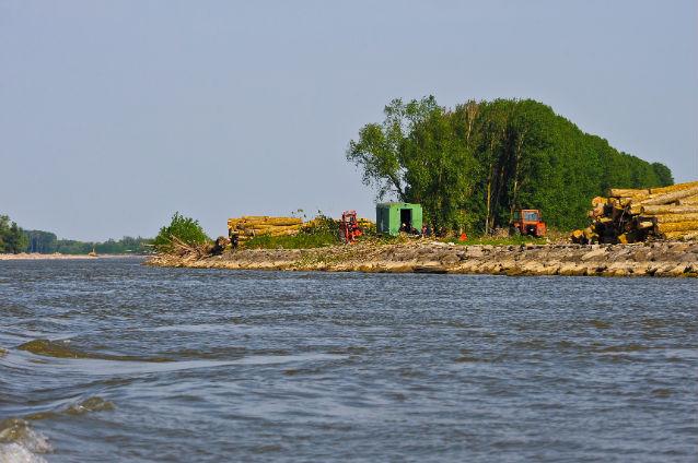CMR: Lipsa Rezervaţiei Biosferei Delta Dunării de pe lista priorităţilor de mediu ale viitorului Parteneriat România-CE, îngrijorătoare